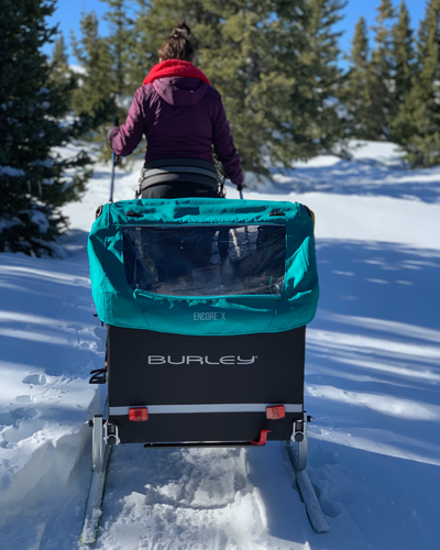 Our top 10 Tips for Skiing with a Toddler
